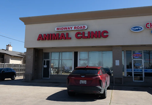 Choosing the Right Veterinarian Near Addison, TX: What to Ask and Look For
