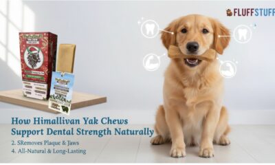 How Himalayan Yak Chews Support Dental Strength Naturally